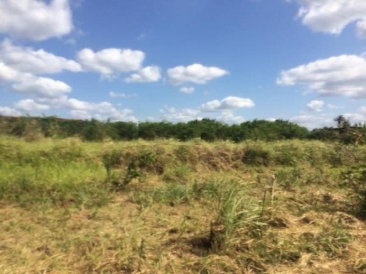 Picture of Residential Land For Sale in Bahia, Bahia, Brazil