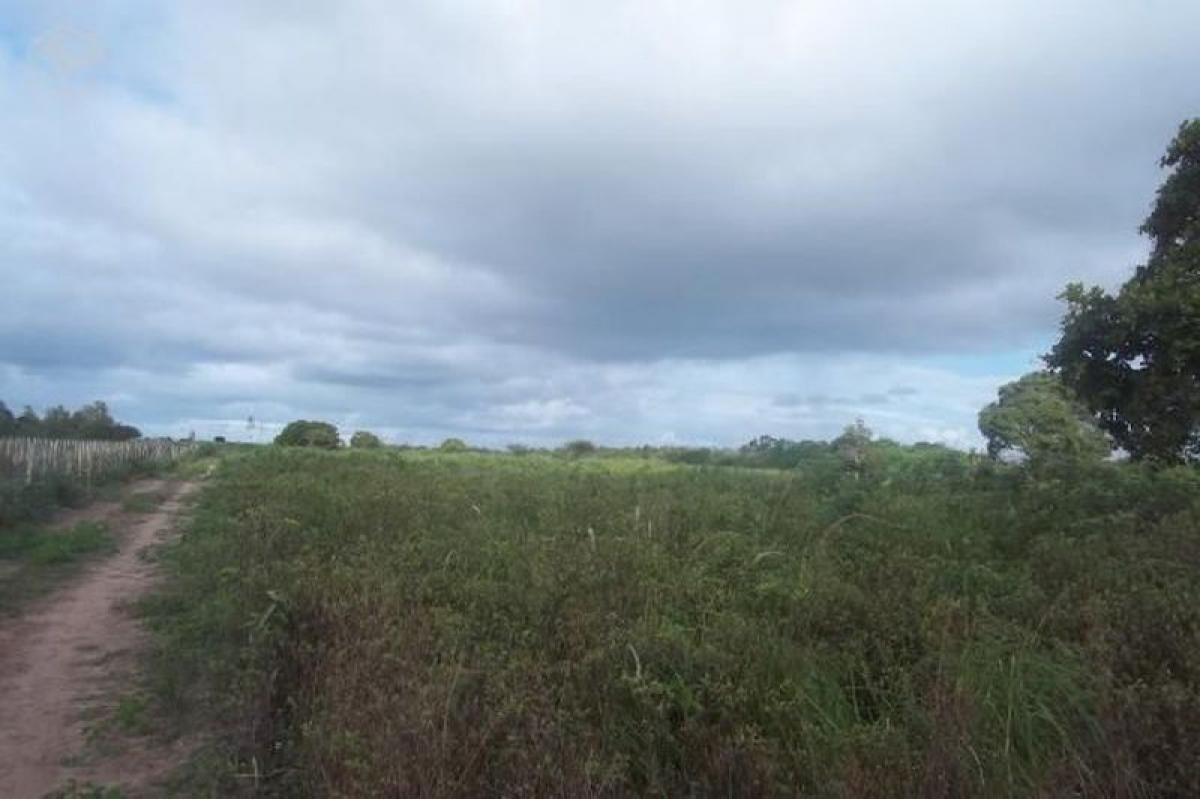 Picture of Farm For Sale in Rio Grande Do Norte, Rio Grande do Norte, Brazil