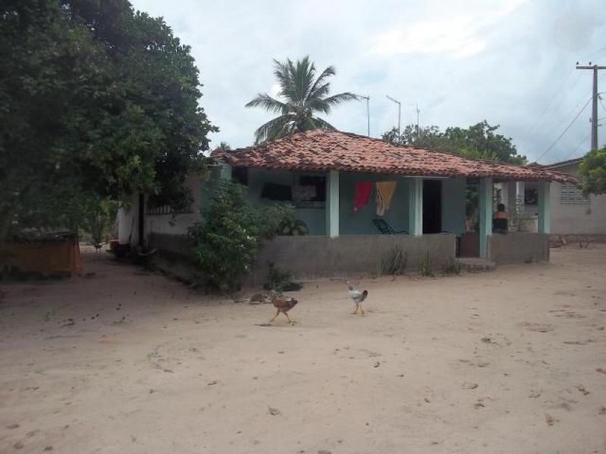 Picture of Farm For Sale in Rio Grande Do Norte, Rio Grande do Norte, Brazil