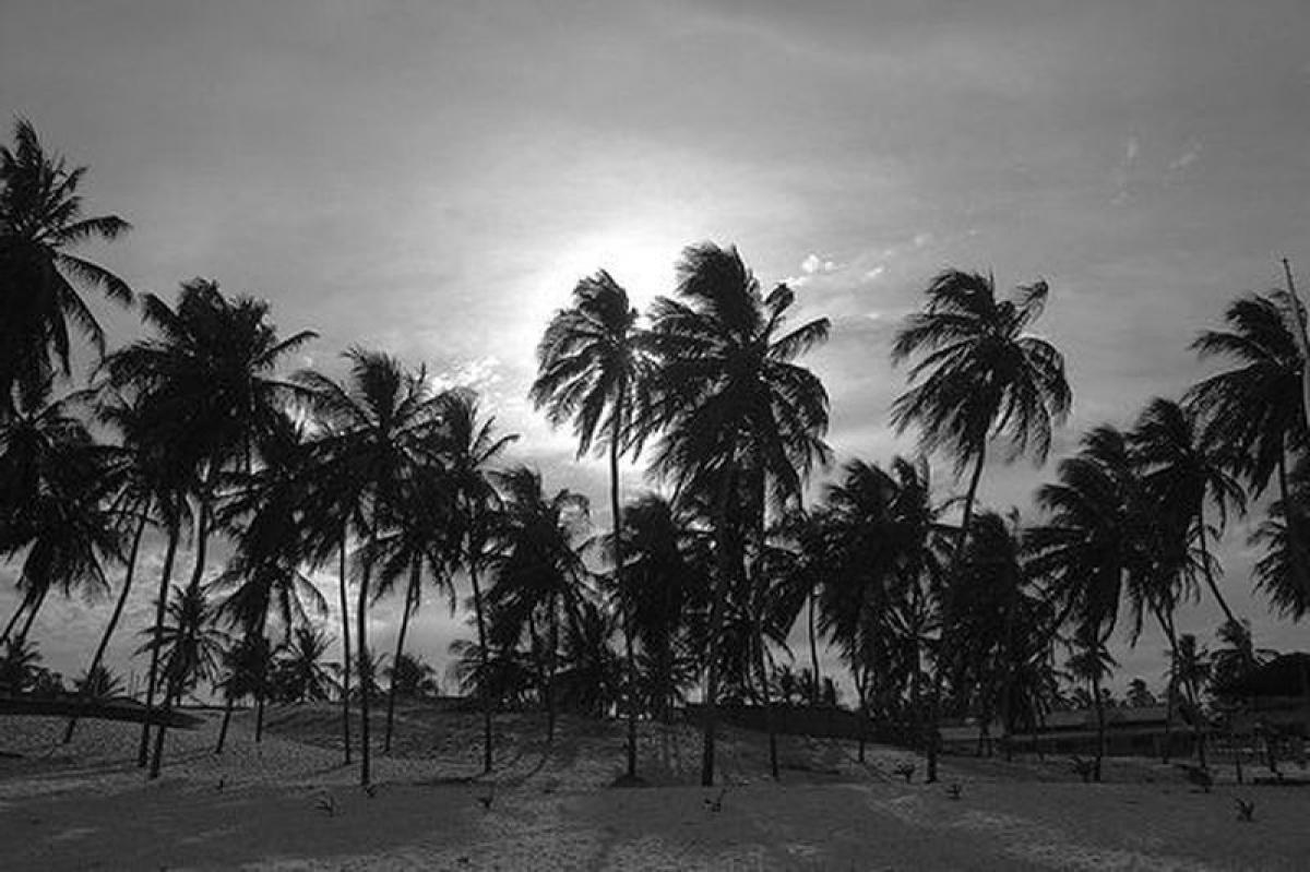 Picture of Residential Land For Sale in Rio Grande Do Norte, Rio Grande do Norte, Brazil