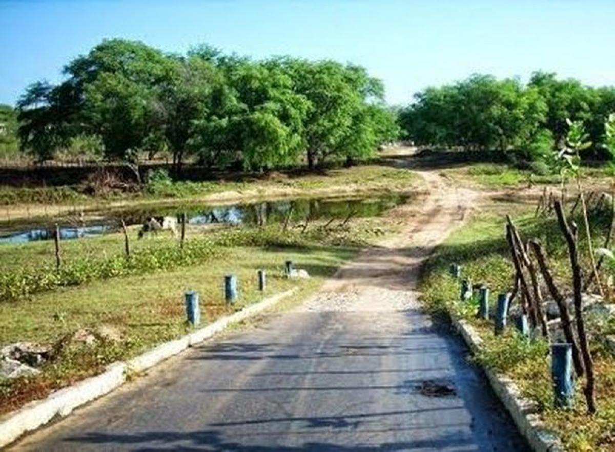 Picture of Farm For Sale in Rio Grande Do Norte, Rio Grande do Norte, Brazil