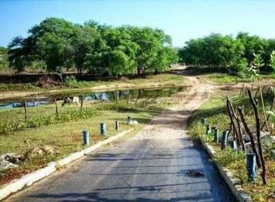 Farm For Sale in Rio Grande Do Norte, Brazil