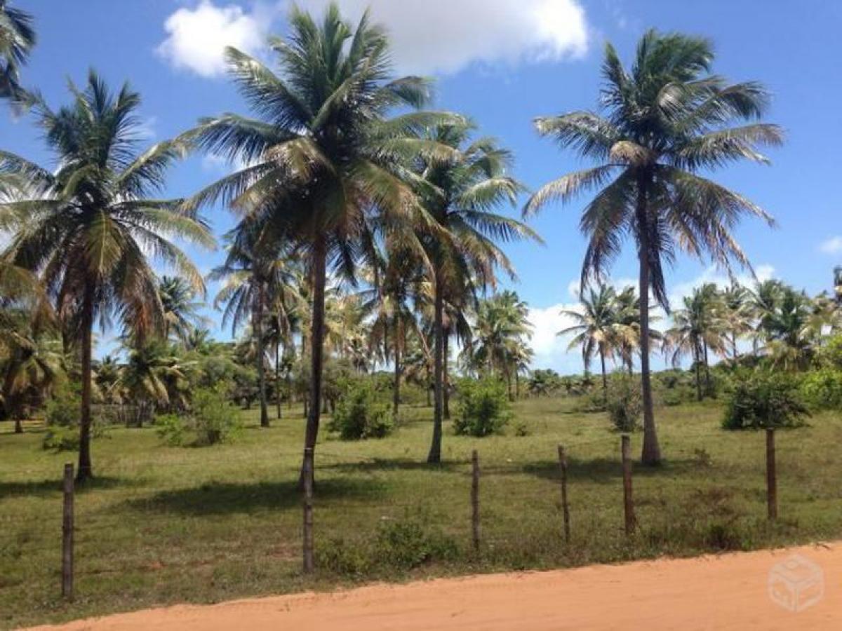 Picture of Residential Land For Sale in Rio Grande Do Norte, Rio Grande do Norte, Brazil