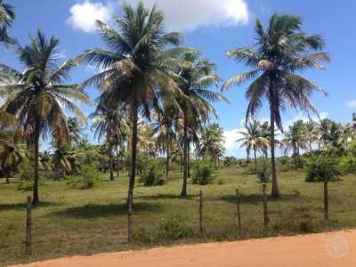 Residential Land For Sale in Rio Grande Do Norte, Brazil