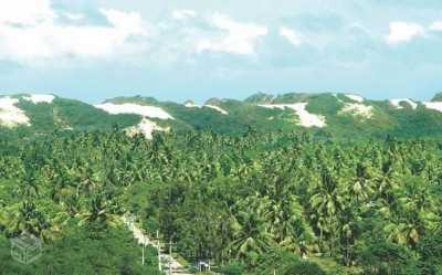 Residential Land For Sale in Rio Grande Do Norte, Brazil