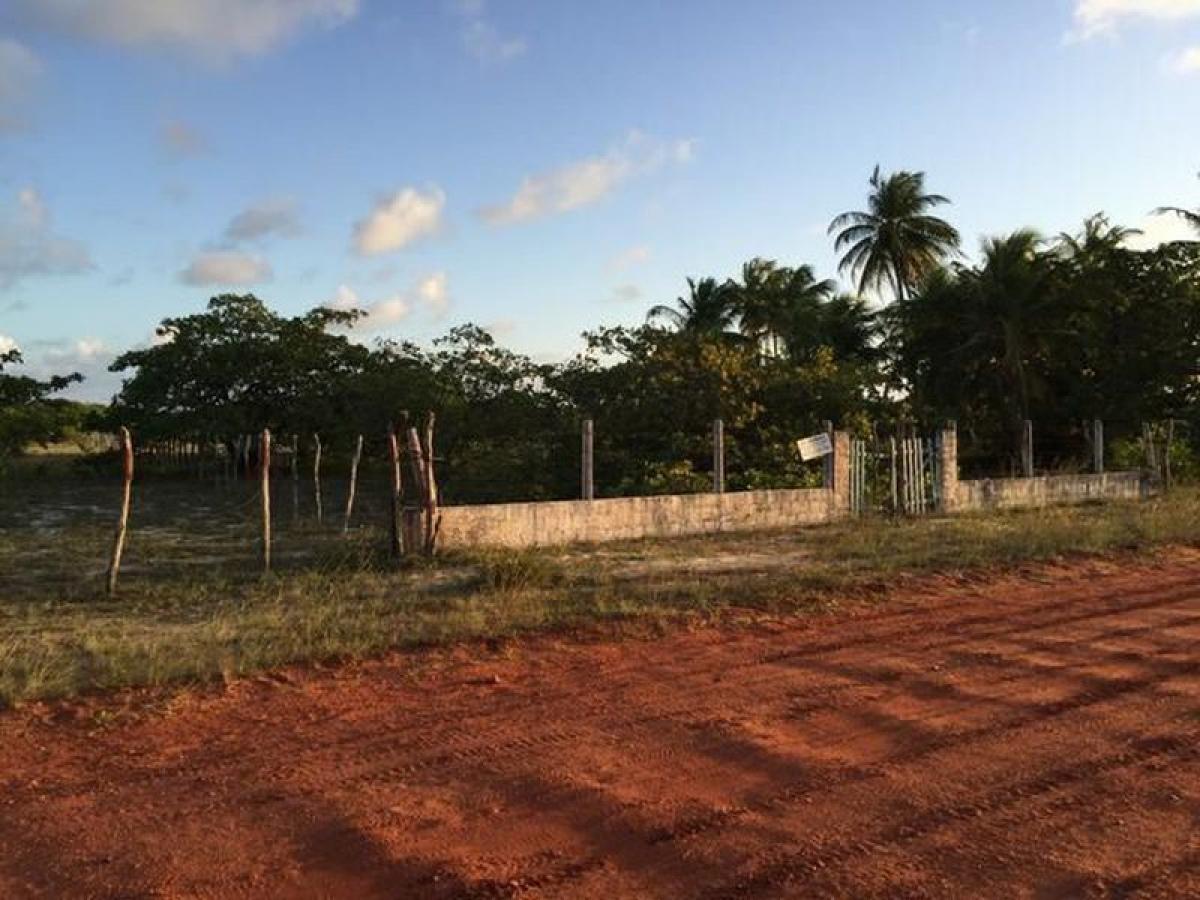 Picture of Residential Land For Sale in Rio Grande Do Norte, Rio Grande do Norte, Brazil