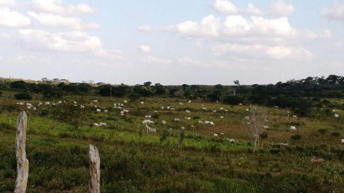 Picture of Farm For Sale in Pernambuco, Pernambuco, Brazil