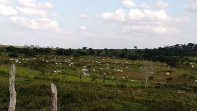 Farm For Sale in Pernambuco, Brazil
