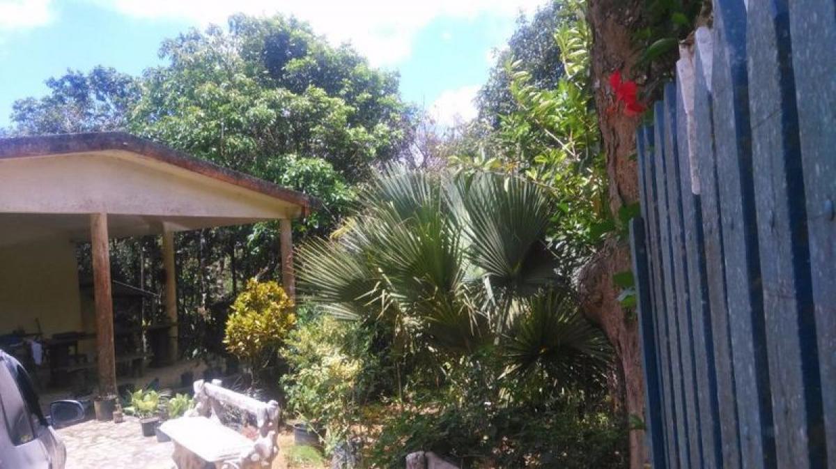 Picture of Farm For Sale in Pernambuco, Pernambuco, Brazil