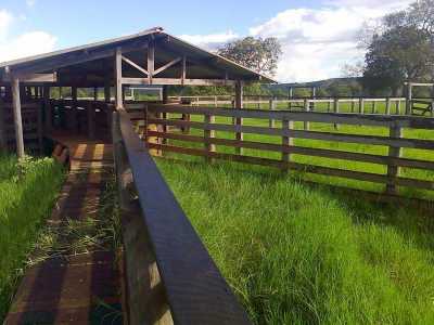 Farm For Sale in Mato Grosso Do Sul, Brazil