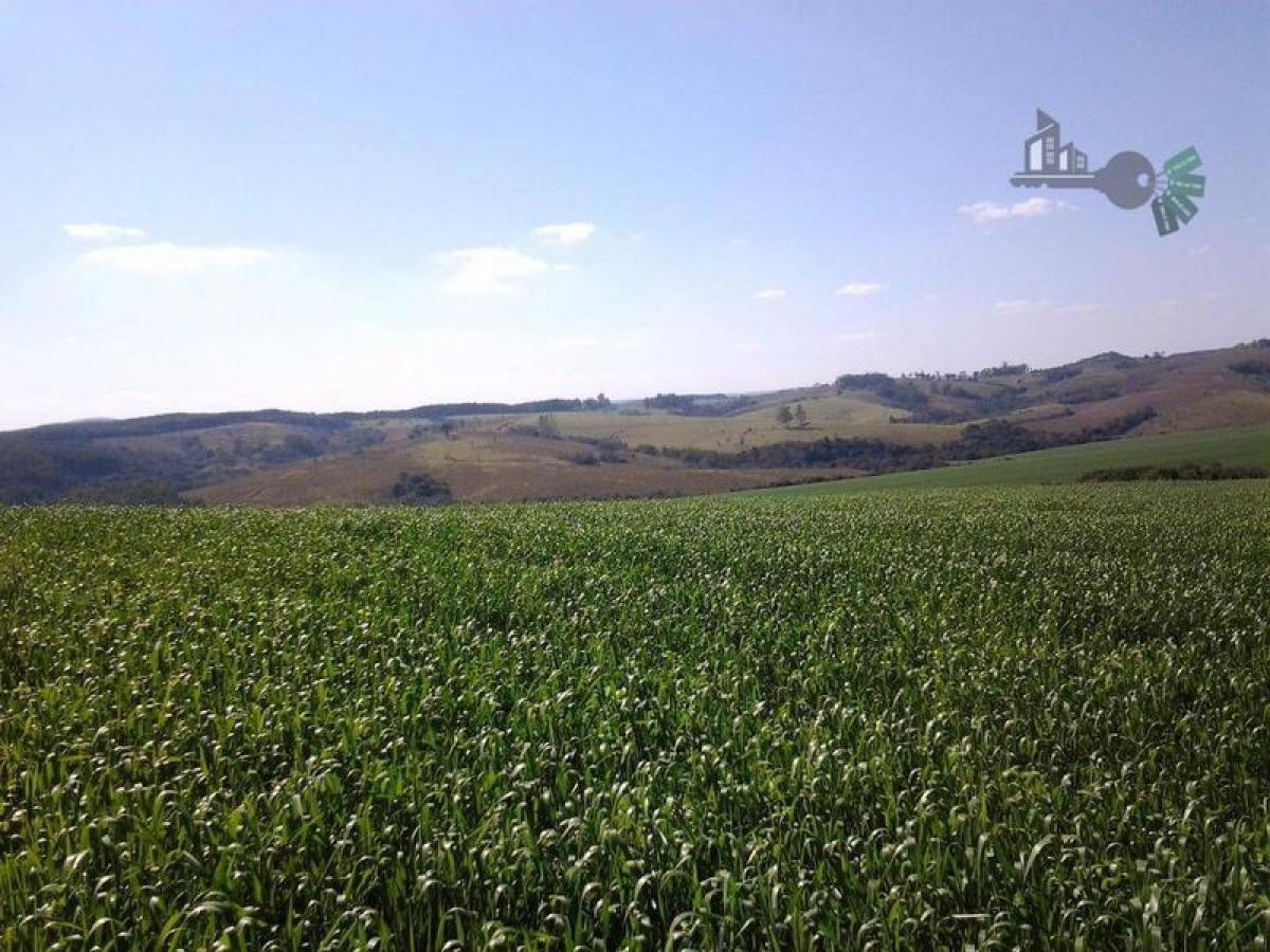 Picture of Farm For Sale in Parana, Parana, Brazil