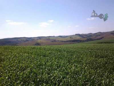 Farm For Sale in Parana, Brazil