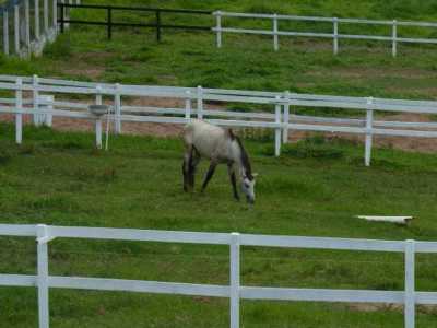 Other Commercial For Sale in Sorocaba, Brazil