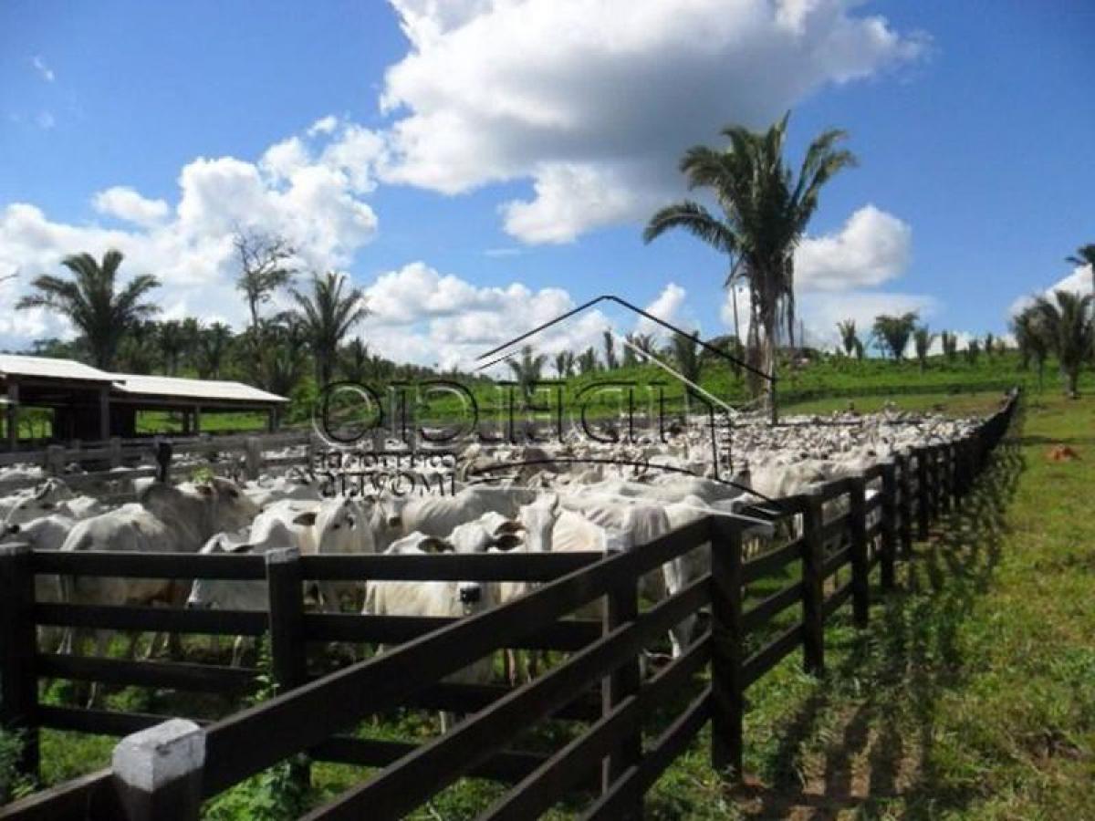 Picture of Farm For Sale in Para, Para, Brazil