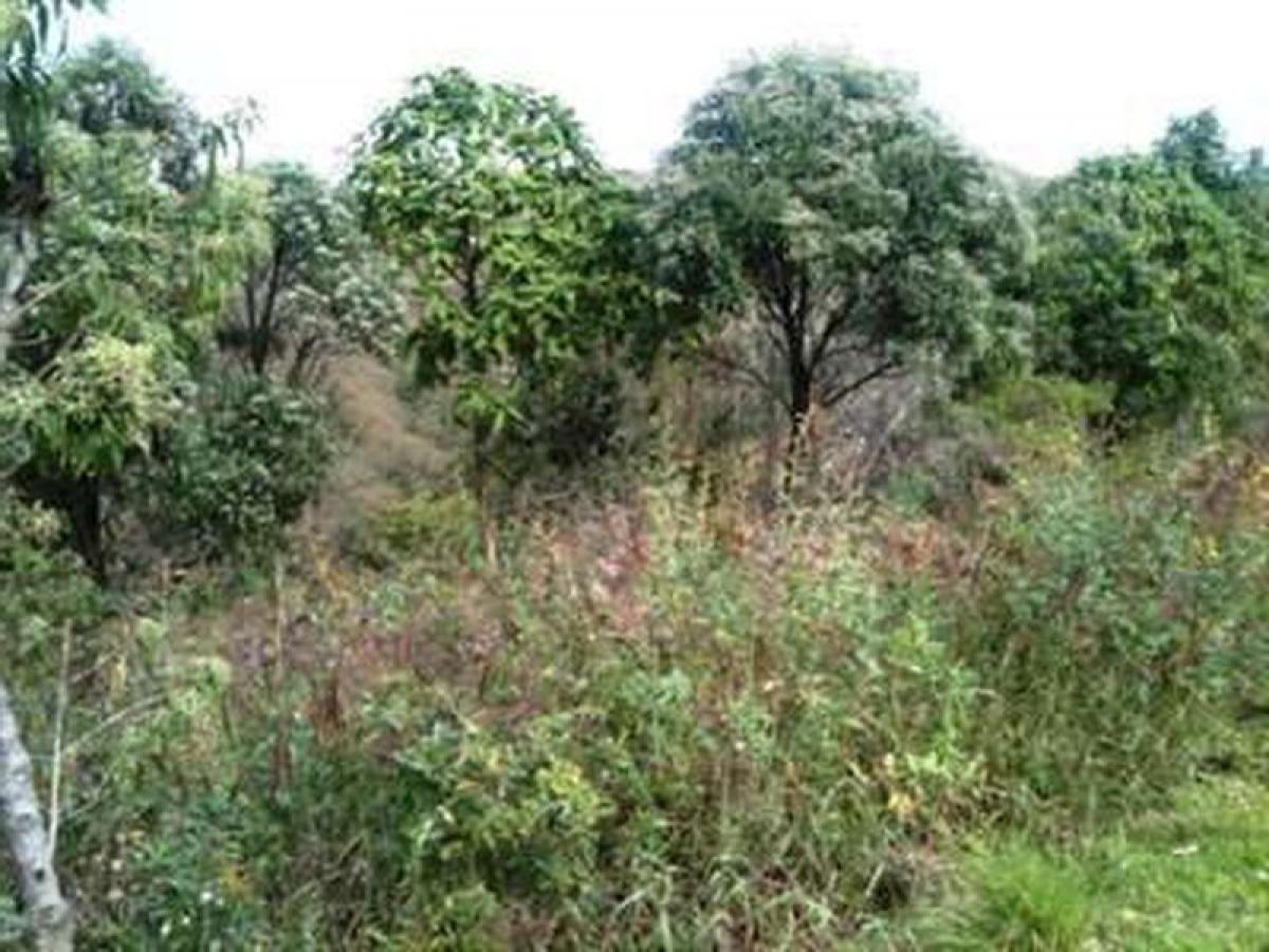 Picture of Residential Land For Sale in Nova Lima, Minas Gerais, Brazil