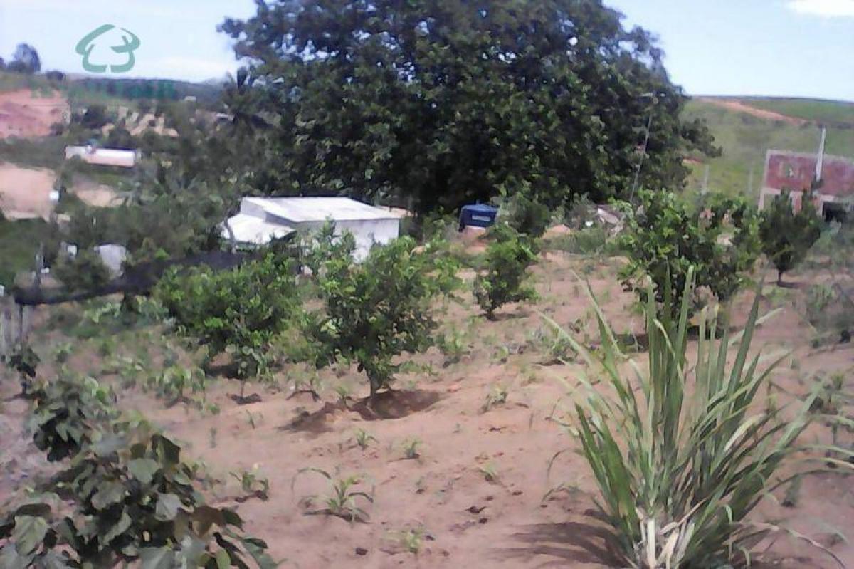 Picture of Farm For Sale in Rio De Janeiro, Rio De Janeiro, Brazil