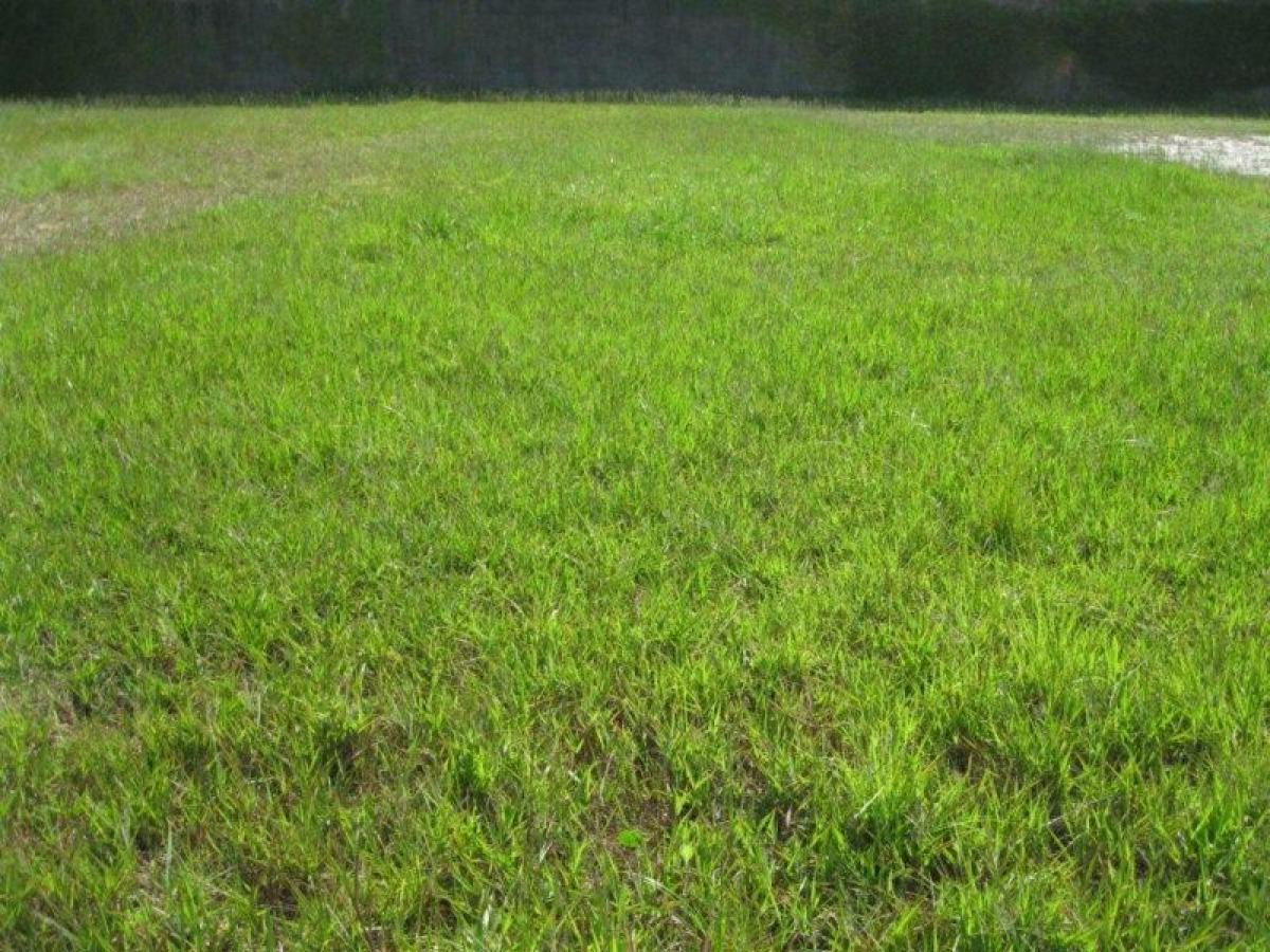 Picture of Residential Land For Sale in Guaruja, Sao Paulo, Brazil