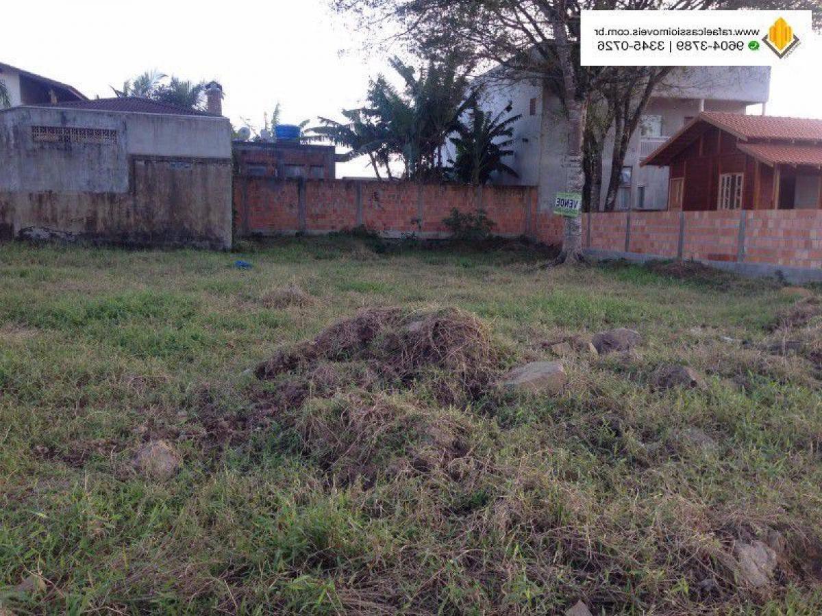 Picture of Residential Land For Sale in Penha, Santa Catarina, Brazil