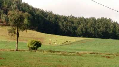 Farm For Sale in Parana, Brazil