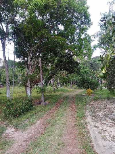 Farm For Sale in Para, Brazil