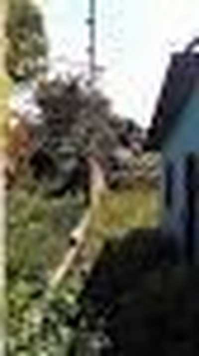 Residential Land For Sale in Para, Brazil