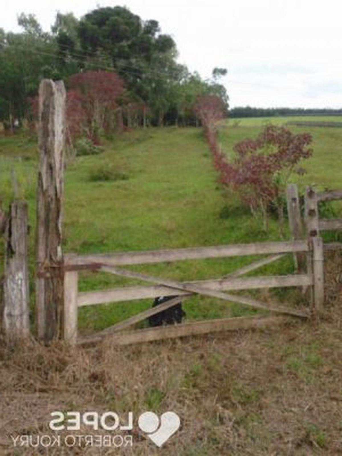 Picture of Farm For Sale in Sao Miguel Arcanjo, Sao Paulo, Brazil