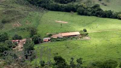 Farm For Sale in Minas Gerais, Brazil