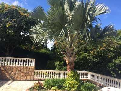 Farm For Sale in Vargem, Brazil