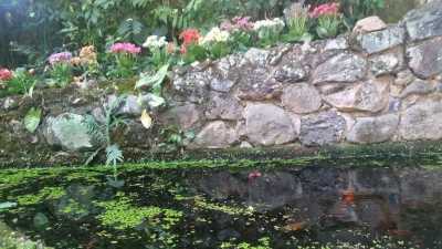 Farm For Sale in Minas Gerais, Brazil