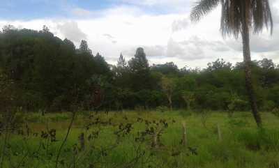 Farm For Sale in Brasilia, Brazil