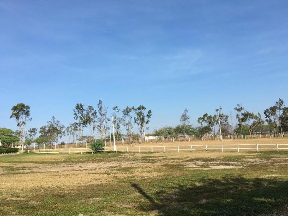Picture of Residential Land For Sale in Pernambuco, Pernambuco, Brazil