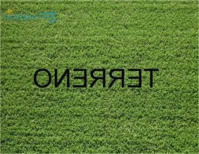 Residential Land For Sale in Peruibe, Brazil