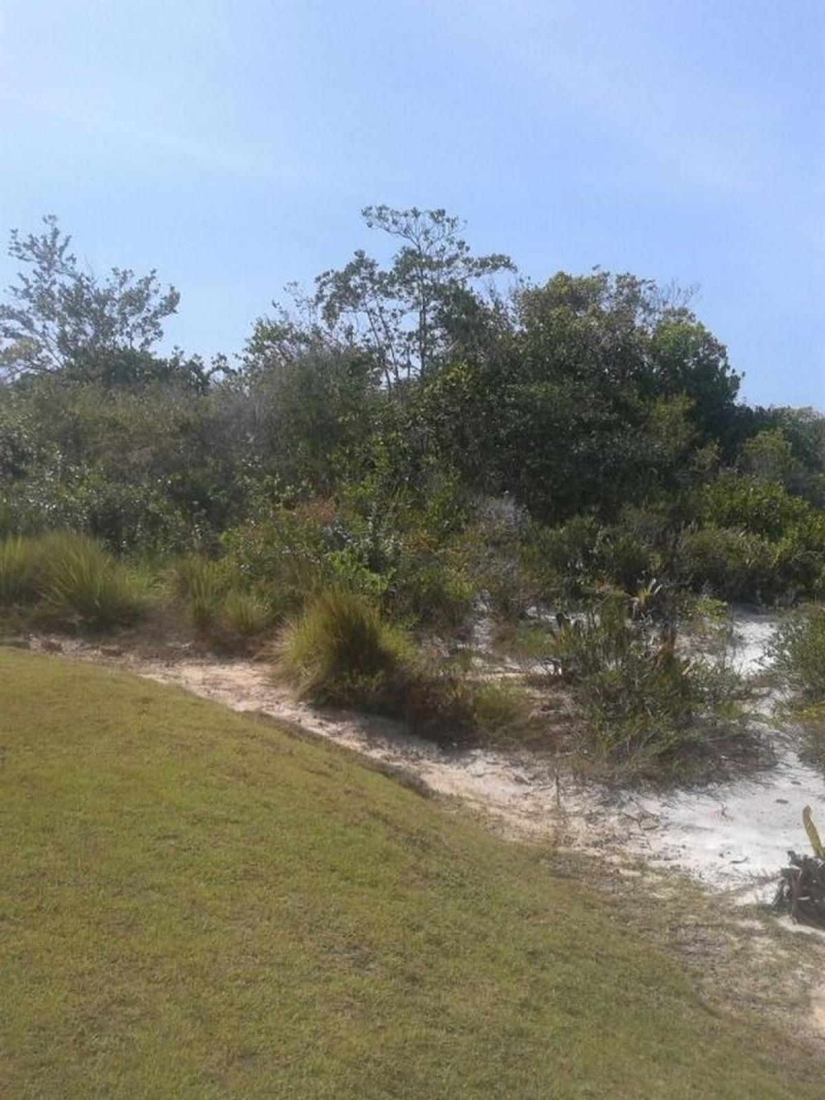 Picture of Residential Land For Sale in Mata De Sao Joao, Bahia, Brazil