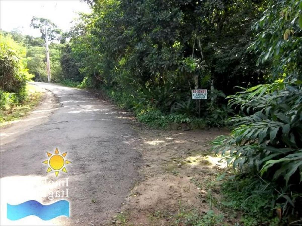 Picture of Residential Land For Sale in Ubatuba, Sao Paulo, Brazil