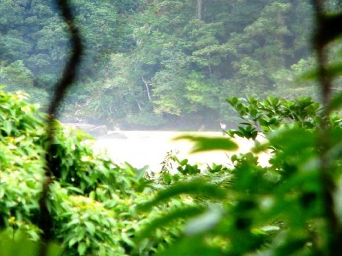 Picture of Residential Land For Sale in Ubatuba, Sao Paulo, Brazil