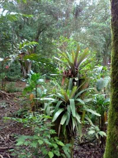 Residential Land For Sale in Ubatuba, Brazil