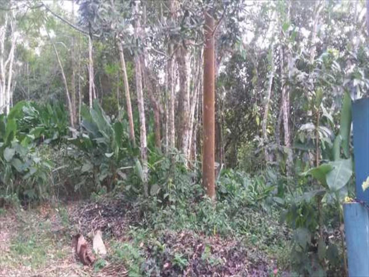 Picture of Residential Land For Sale in Ubatuba, Sao Paulo, Brazil