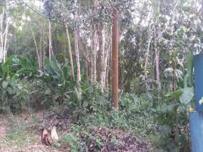 Residential Land For Sale in Ubatuba, Brazil