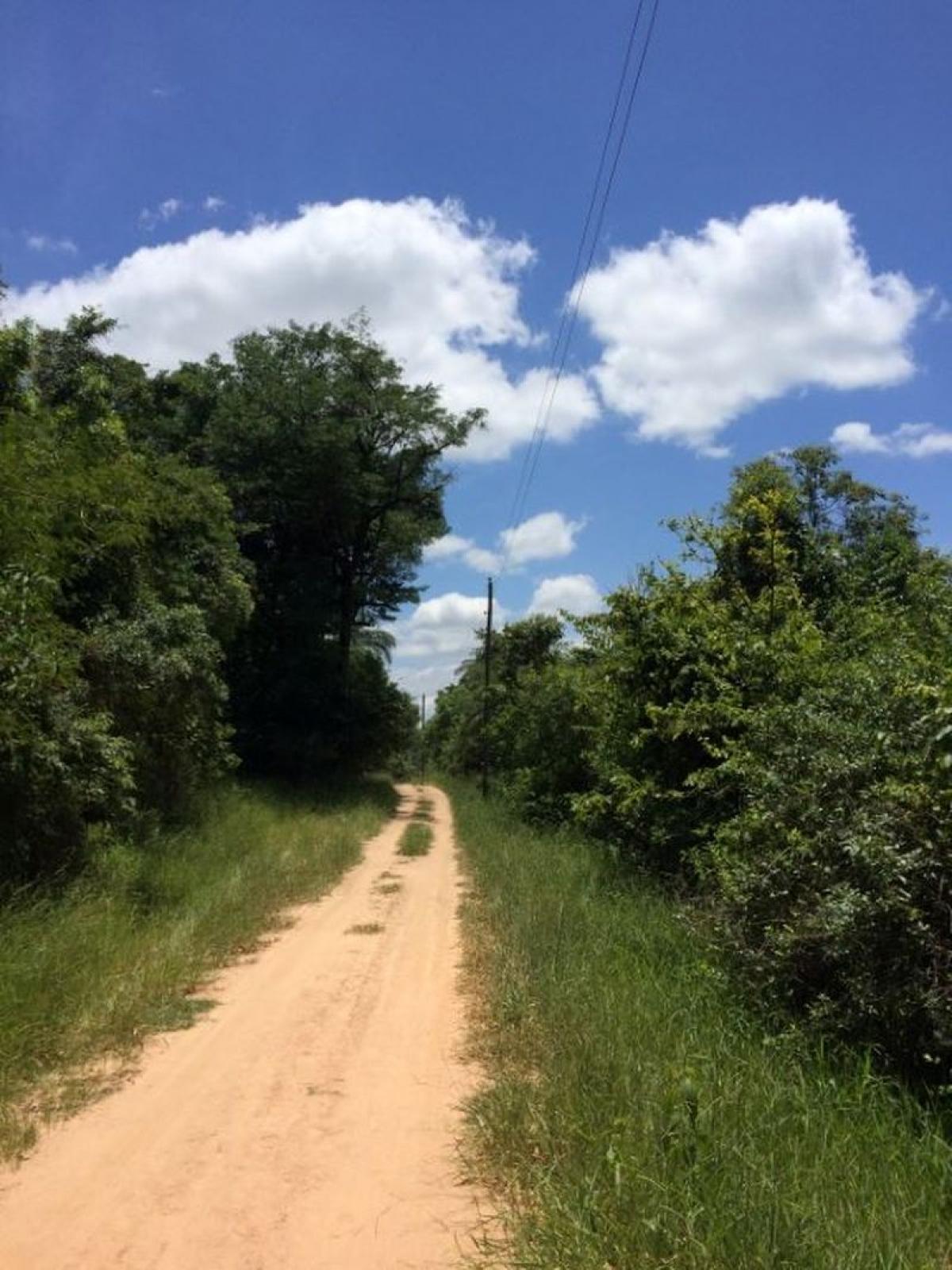 Picture of Residential Land For Sale in Pedro Leopoldo, Minas Gerais, Brazil