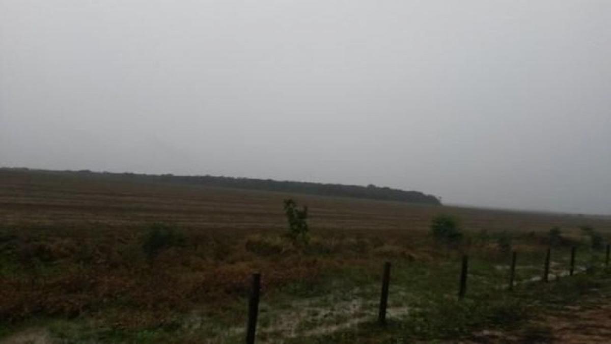 Picture of Farm For Sale in Rondonopolis, Mato Grosso, Brazil