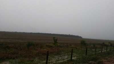 Farm For Sale in Rondonopolis, Brazil