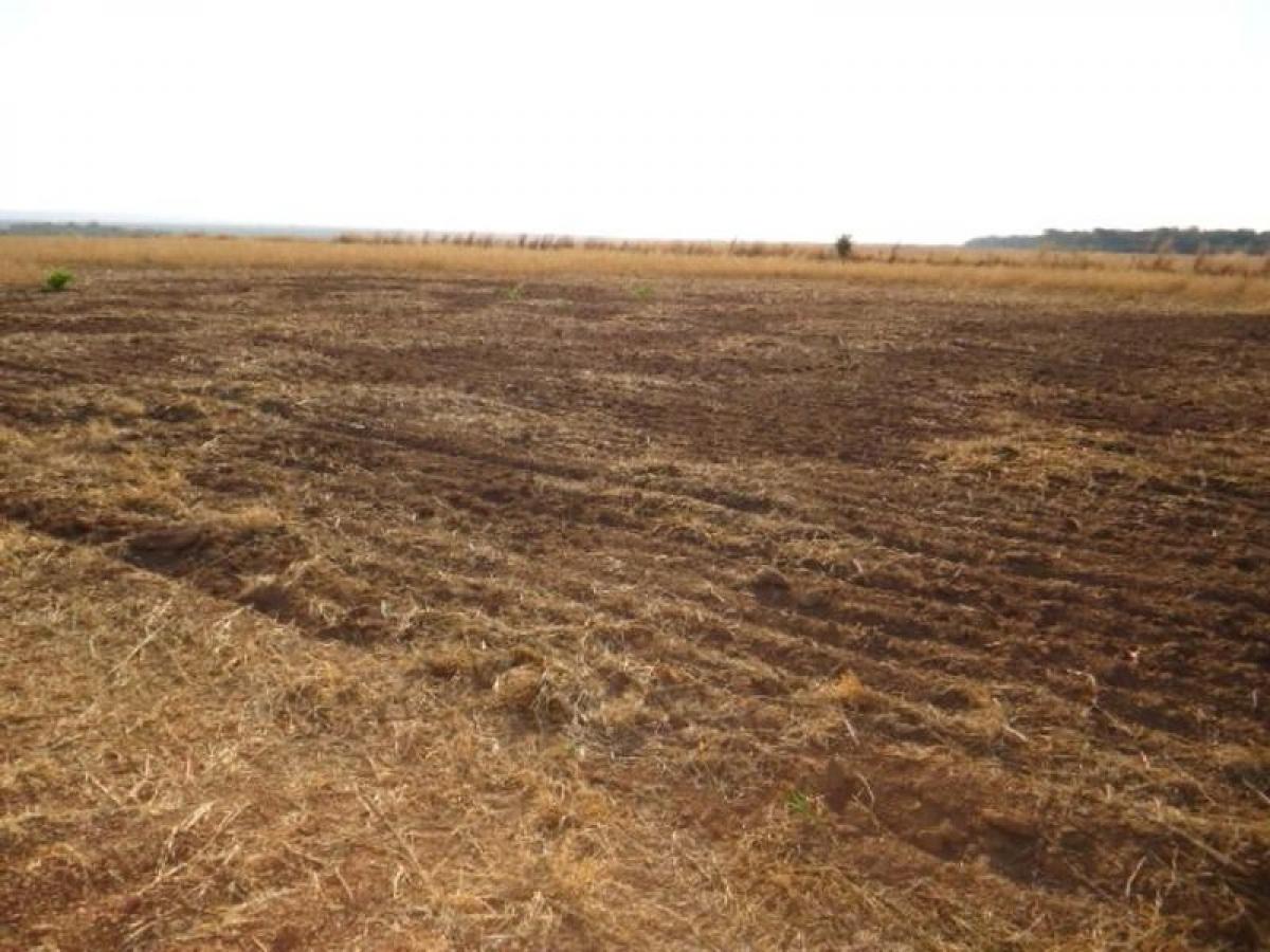 Picture of Farm For Sale in Rondonopolis, Mato Grosso, Brazil