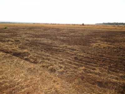 Farm For Sale in Rondonopolis, Brazil