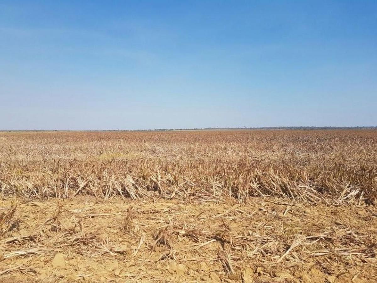 Picture of Farm For Sale in Rondonopolis, Mato Grosso, Brazil