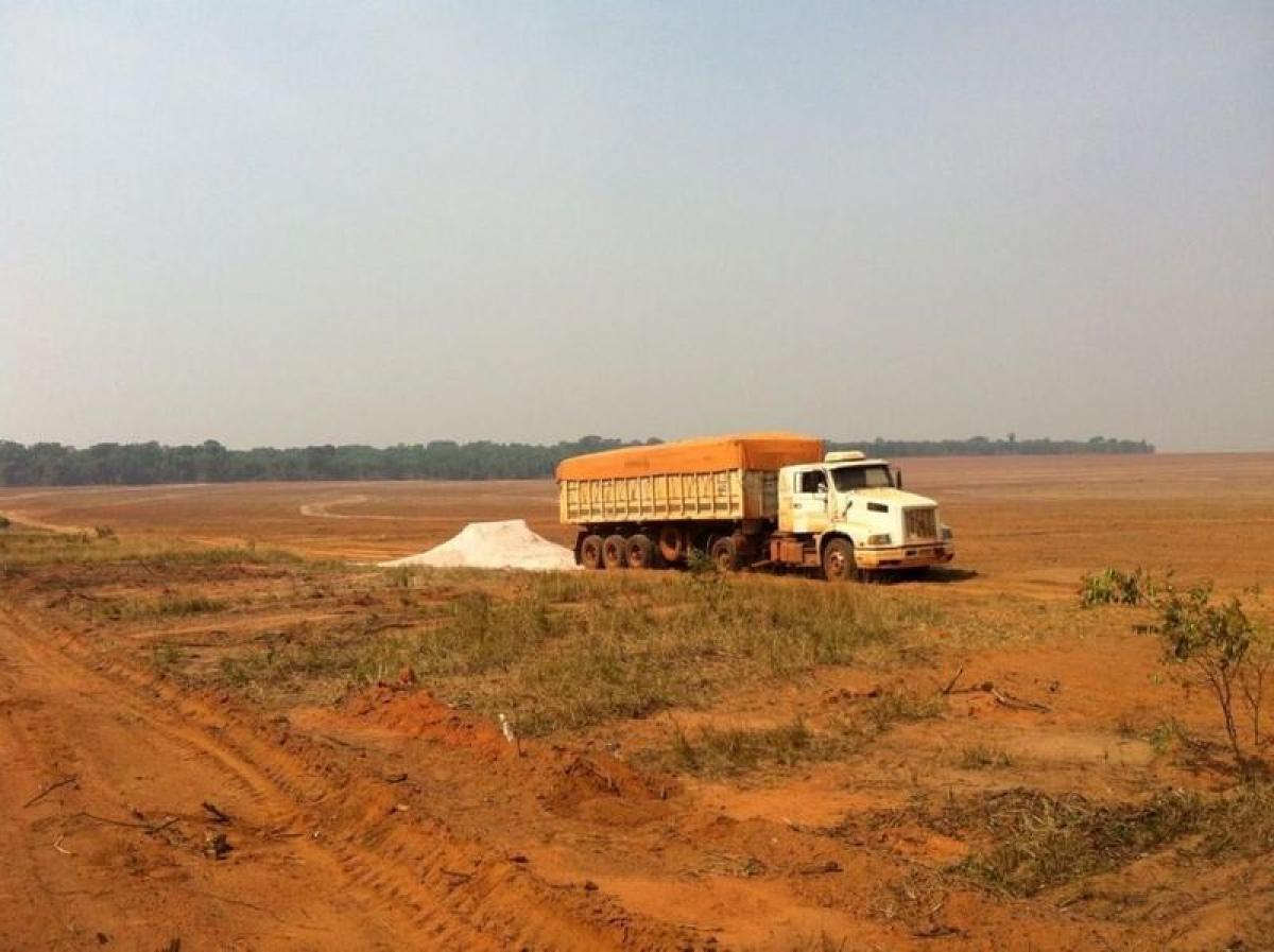 Picture of Farm For Sale in Rondonopolis, Mato Grosso, Brazil