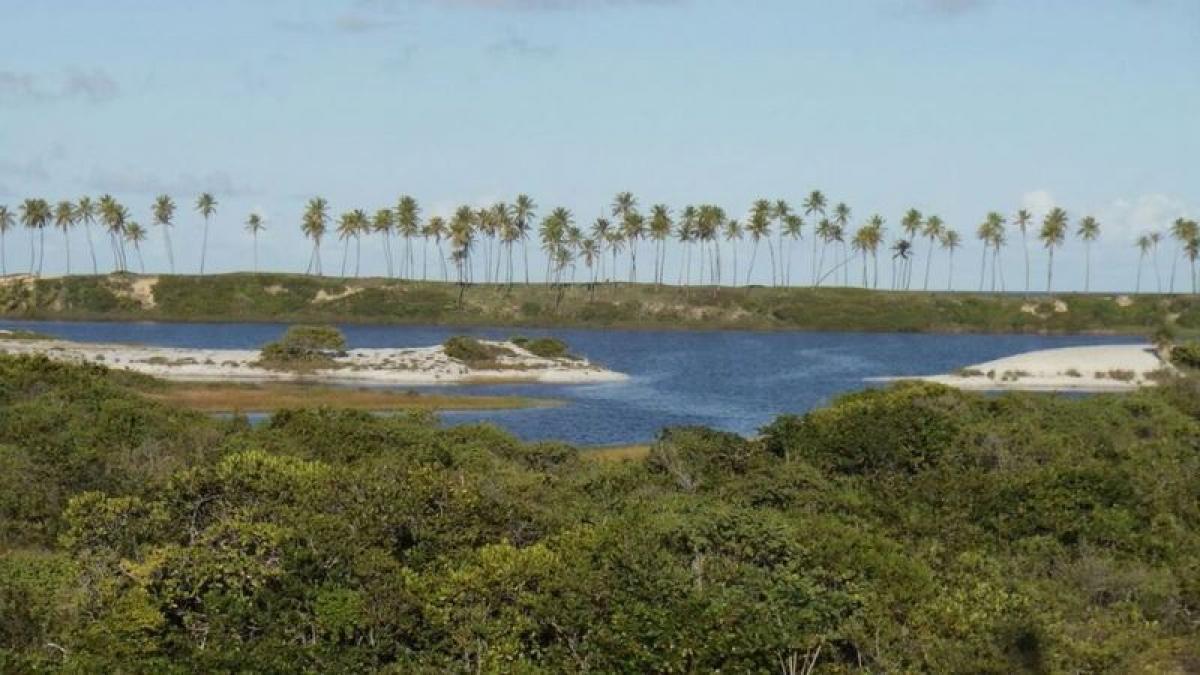 Picture of Home For Sale in Mata De Sao Joao, Bahia, Brazil