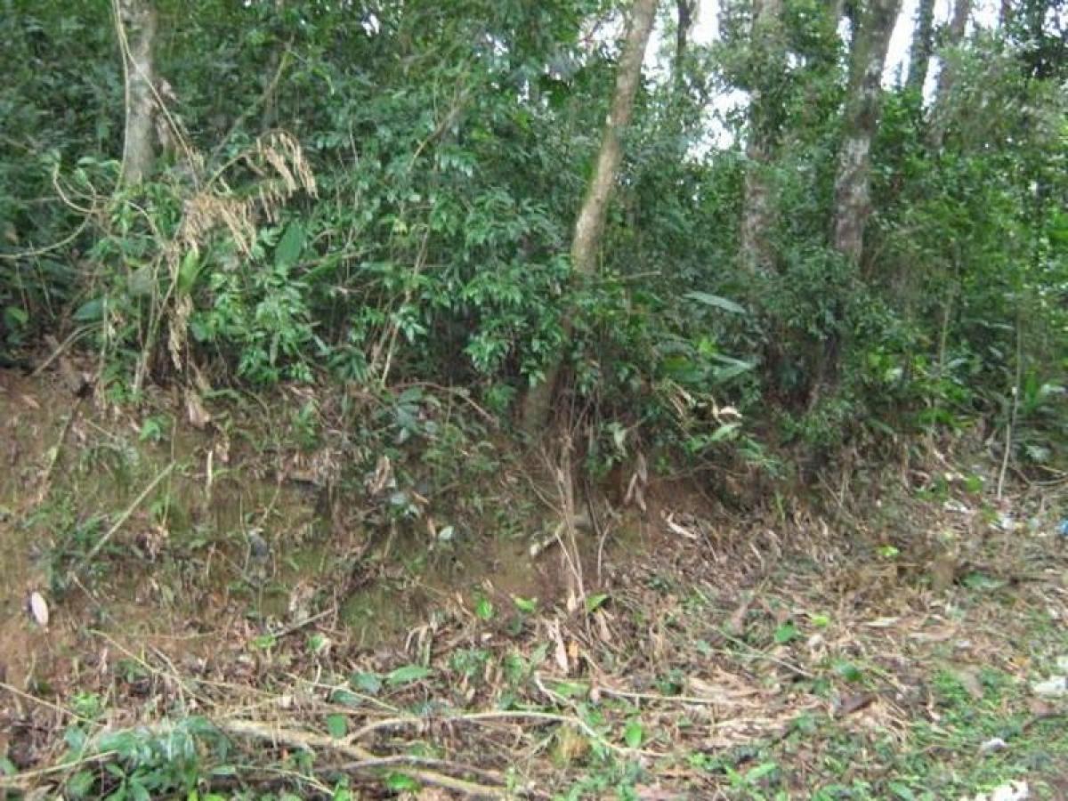 Picture of Residential Land For Sale in Sao Lourenço Da Serra, Sao Paulo, Brazil