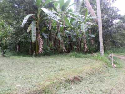 Residential Land For Sale in Sao LourenÃ§o Da Serra, Brazil
