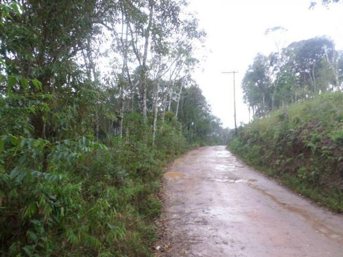 Picture of Residential Land For Sale in Sao Lourenço Da Serra, Sao Paulo, Brazil