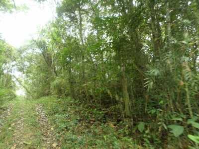Residential Land For Sale in Sao LourenÃ§o Da Serra, Brazil